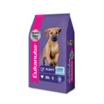 Eukanuba puppy Large Breed x 3 kg