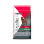 Excellent perro adulto