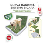 Bandeja sanitaria con accesorio para macho