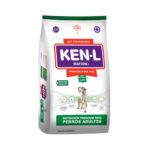 Ken-L perro light