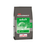 Performance adulto x 20 Kg