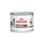 Royal Canin Recovery x 195 gr