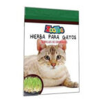 Hierba para gatos
